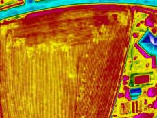 Thermographie aerienne terrain agricole