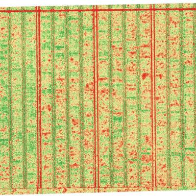 Calcul d’indices végétaux par drone