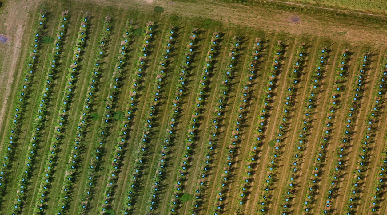 Comptage végétaux verger par drone agricole