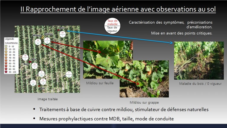 Photo aérienne technique en agriculture et viticulture