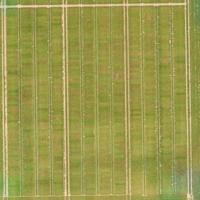 inspection aérienne par drone dans l'agriculture