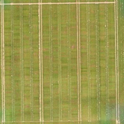 inspection aérienne par drone dans l'agriculture
