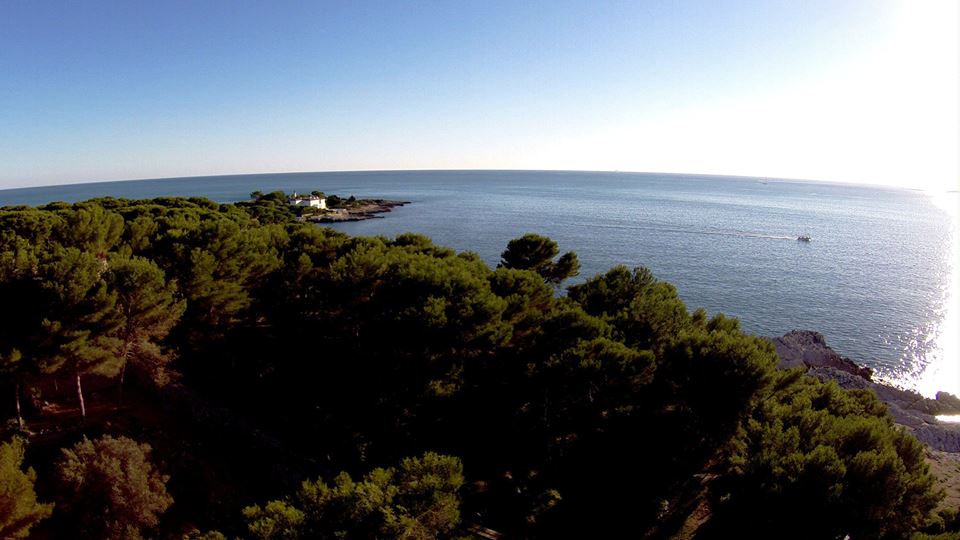 Photographie mer et foret vue en hauteur par un drone