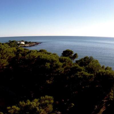 Photographie mer et foret vue en hauteur par un drone