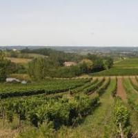 Photo aérienne Dordogne