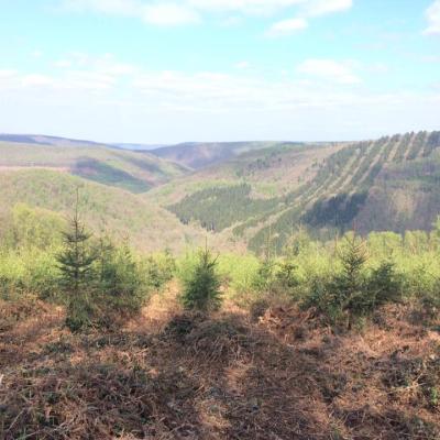 Photo aérienne Lorraine