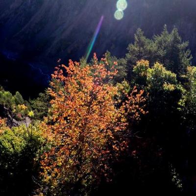 Photo aérienne Tarn