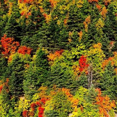 Photo aérienne Tarn-et-Garonne