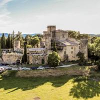 Photographie aérienne Chateau de Lourmarin dans le Luberon