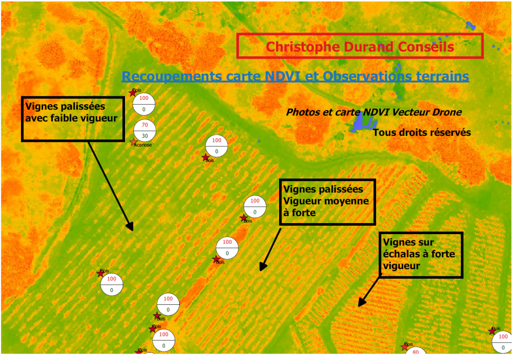 Recoupement carte NDVI Observation des vignes sur Terrains