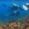 Camerama sous marin pour video sous marine