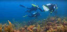 Cameraman sous marin pour vidéo sous marine