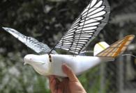 Drone pigeon pour espionnage aérien