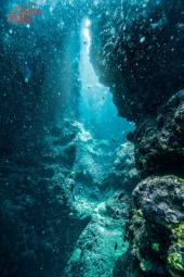 Fond sous marin photographie par photographe de perpignan