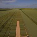 Inspection de culture par drone agriculture de precision
