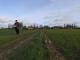 Le drone dans l agriculture