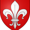 Lille pilote de drone