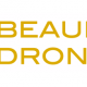 Logo du pilote de beaufort drone