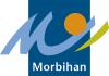 Morbihan telepilotes de drones