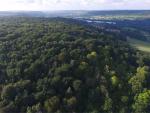 Paysage de foret vue d un drone