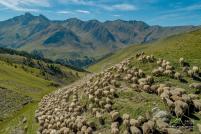 Paysage de montagne photographie par un drone