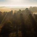 Paysage des landes en vue aerienne par drone 1