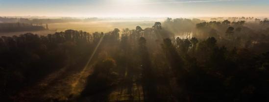 Paysage des landes en vue aerienne par drone