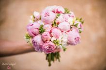 Photo de mariage Bourgogne-Franche-Comté