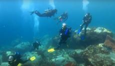 Photo de plongées sous marines par vidéaste professionnel à Nîmes