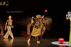 Photo de spectacle par photographe de Vichy