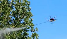 Photo de traitement de nids de frelons par drone