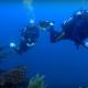 Photo sous marine par plongeur professionnel