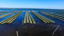 Photographie aérienne par drone du bassin d Arcachon