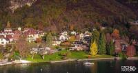 Photographie de chavoires en automne sur les bords du lac d annecy