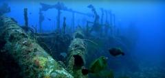 Photographie sous marine en Provence-Alpes-Côte-d’Azur