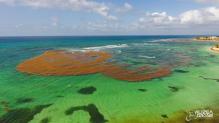 Photographies aériennes par drone en Martinique