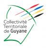 Pilotes de drone en guyane francaise travaux et vues aeriennes