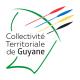 Pilotes de drone en guyane francaise travaux et vues aeriennes