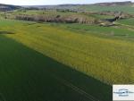 Prise de vue aerienne campagne