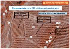 Recoupement carte pir et observation terrains s'un domaine viticole