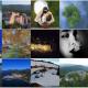 Services et prestations a la carte