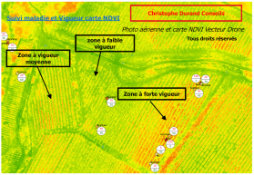 Suivi maladie et vigueur des vegetaux vues par drone